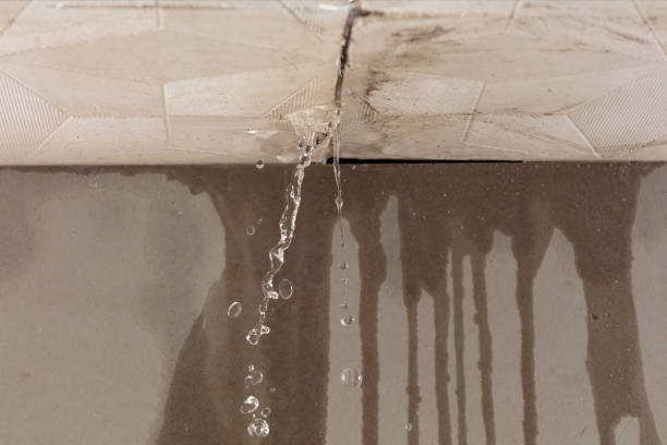 Professional Water Extraction technician working in Culpeper, VA